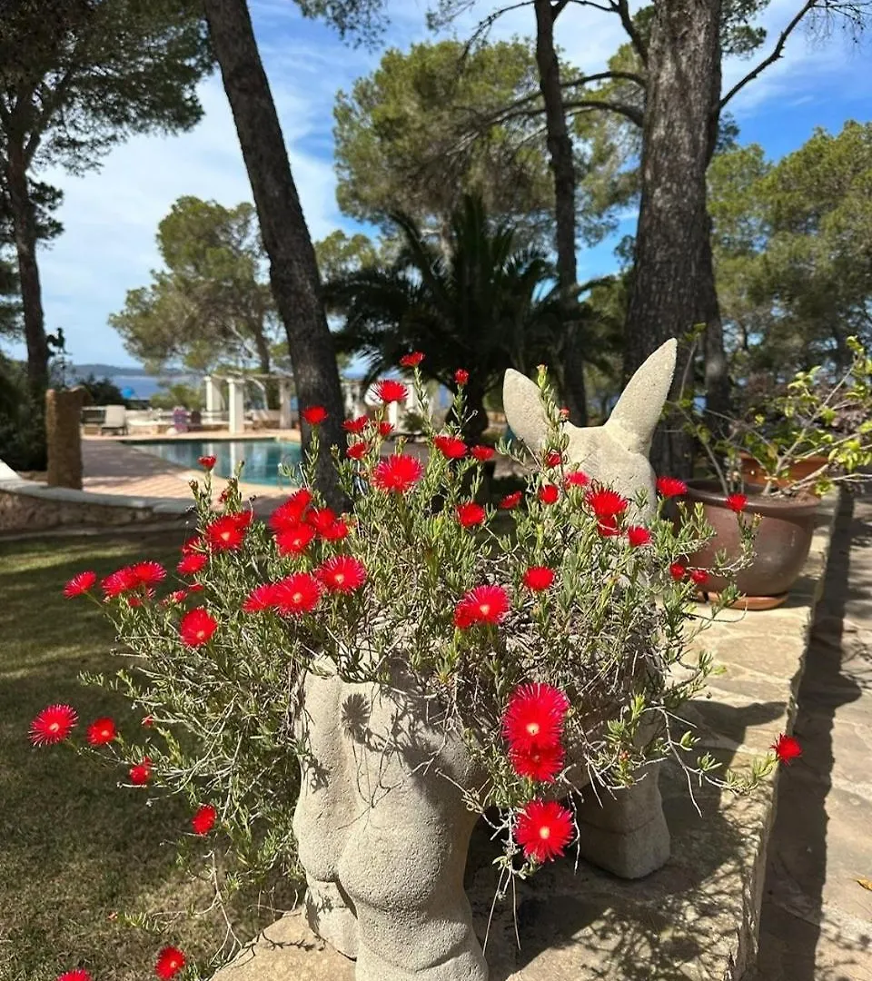 Sant Antoni de Portmany Villa Colina Ibiza
